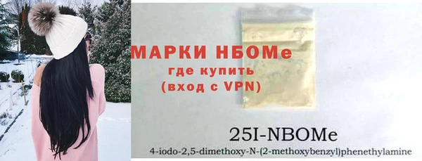 хмурый Надым