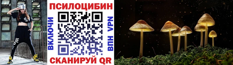 Псилоцибиновые грибы ЛСД  продажа наркотиков  Владикавказ 
