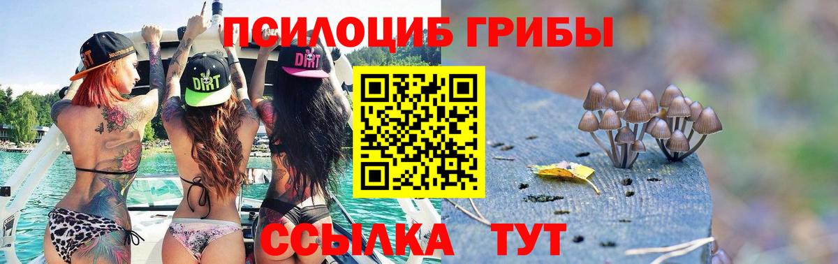 Псилоцибиновые грибы Magic Shrooms Владикавказ